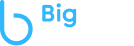 big laundry logo